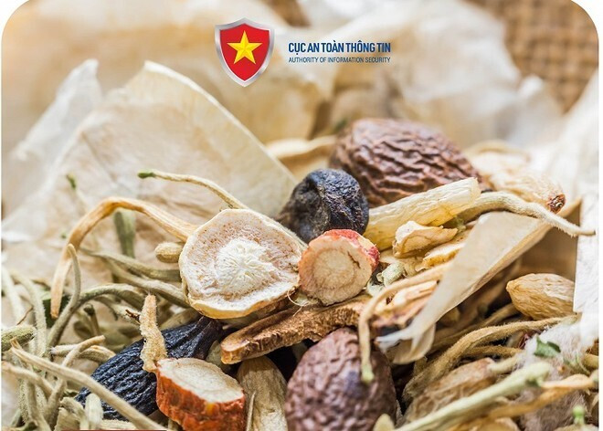 Ảnh minh họa. Ảnh: Cục An toàn thông tin.