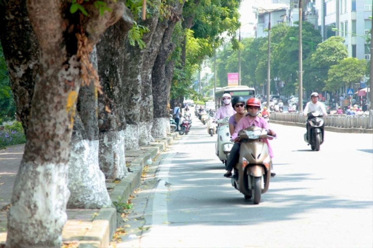 Dự báo thời tiết hôm nay (17/12): Miền Bắc nắng đẹp và ấm áp Ảnh 1