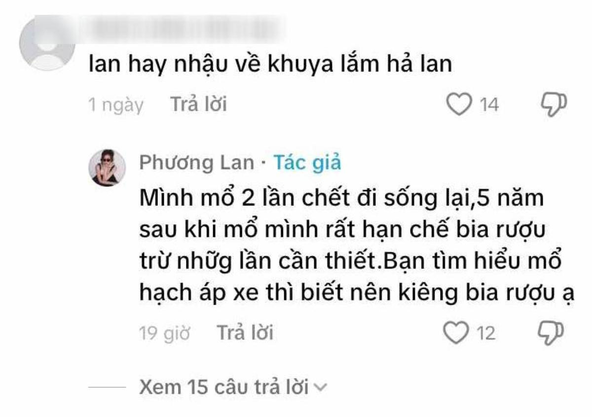 Bị chồng cũ tố hay đi nhậu về khuya, Phương Lan trần tình Ảnh 2