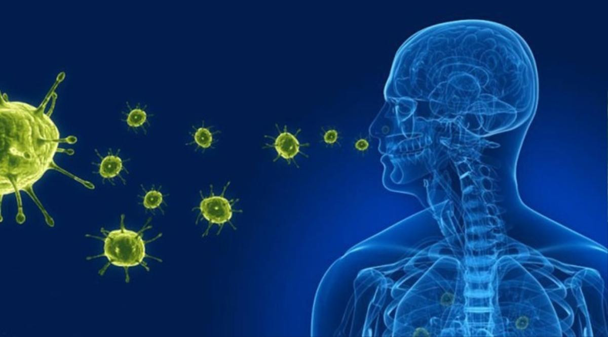 Virus HMPV gây bệnh nguy hiểm ở Trung Quốc đã lưu hành ở TPHCM Ảnh 2