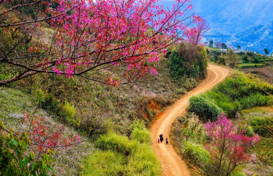 Dự báo thời tiết Hà Nội ngày 20/1/2025: trời rét khô ngày đầu tuần