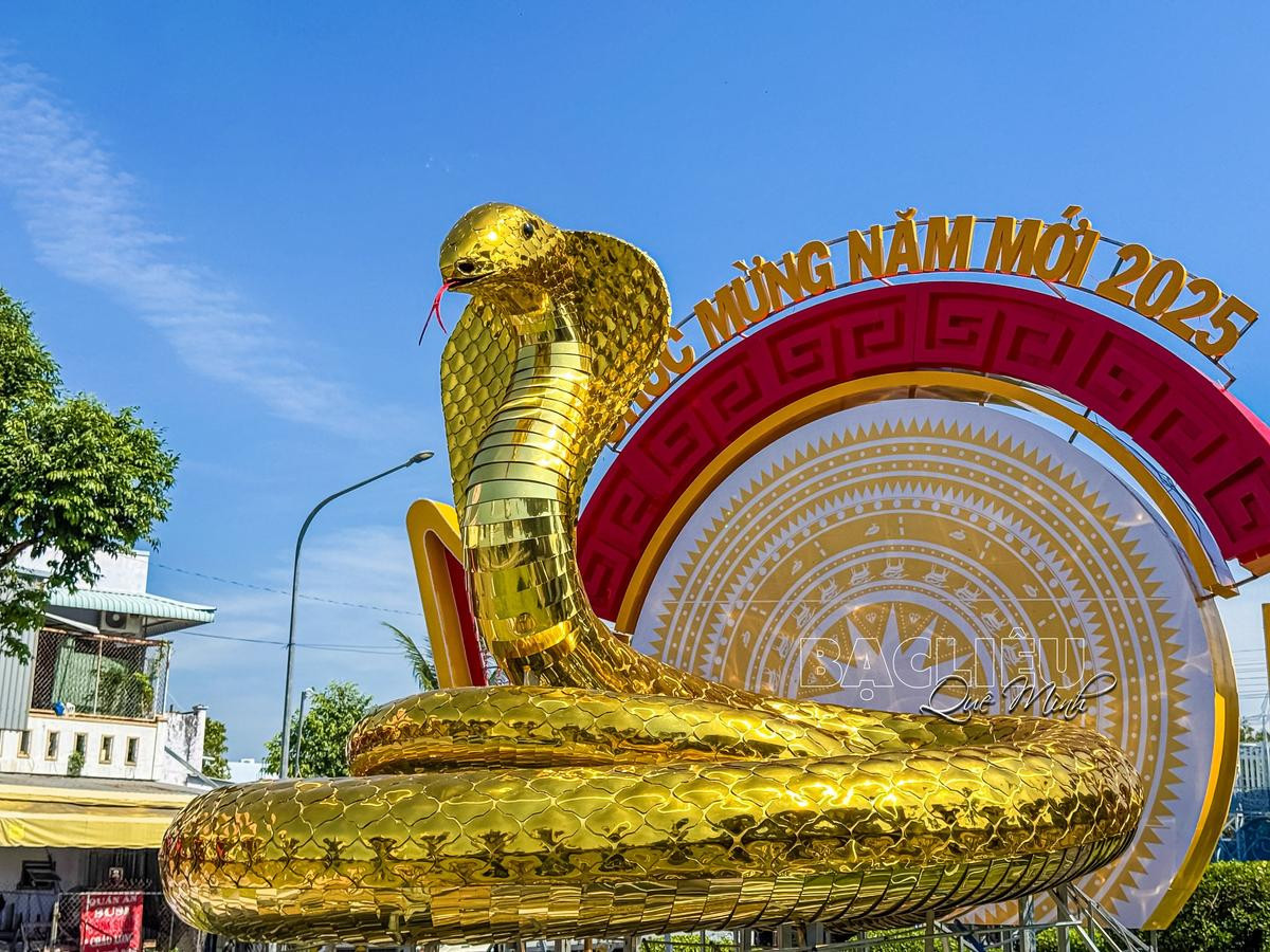Trên đường đua linh vật, đâu là 'Hoa hậu rắn' năm nay? Ảnh 8