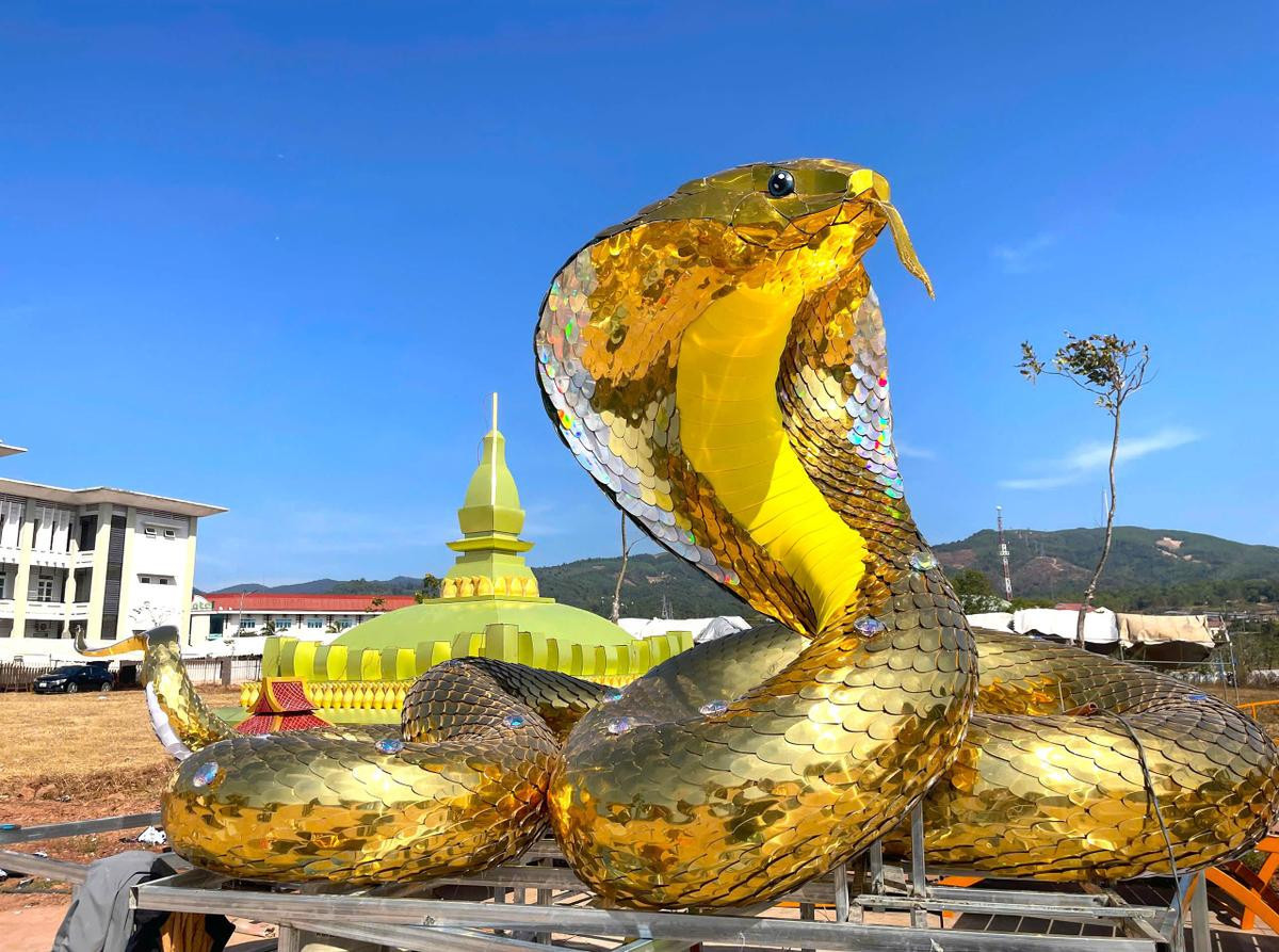Trên đường đua linh vật, đâu là 'Hoa hậu rắn' năm nay? Ảnh 6
