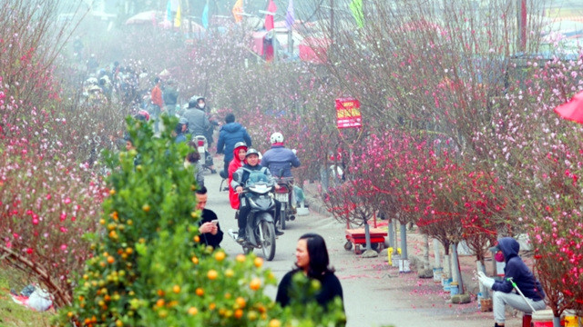 Dự báo thời tiết ngày 25/01/2025: