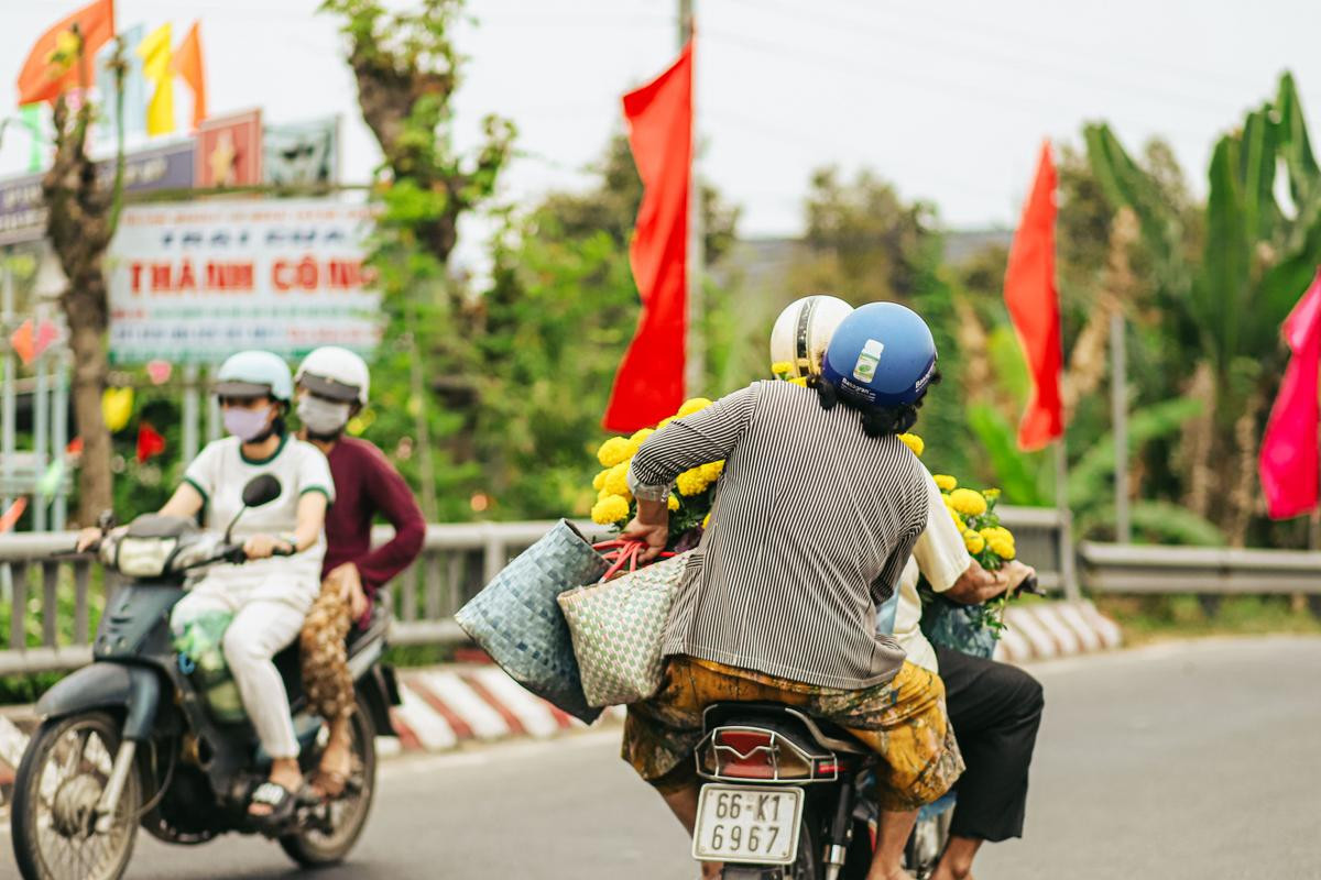 Sắc hoa rực rỡ ngày giáp Tết Ảnh 4