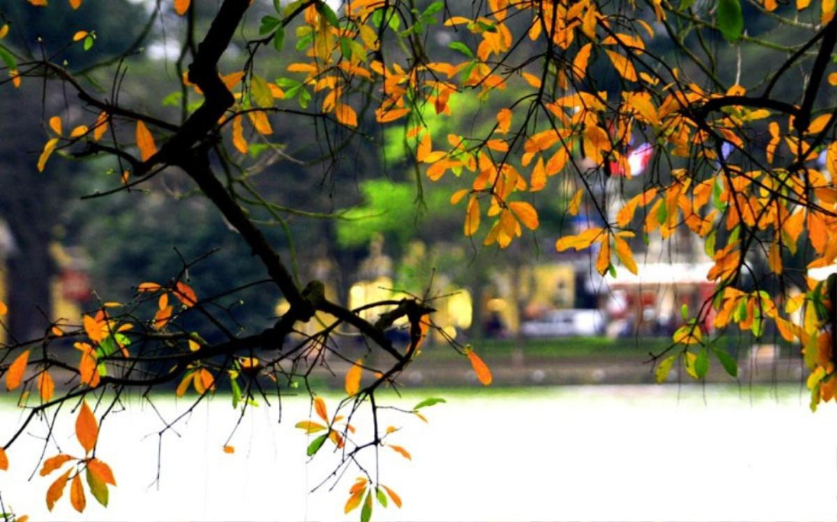 Thời tiết 2 ngày cuối kì nghỉ Tết đặc biệt ra sao? Ảnh 1