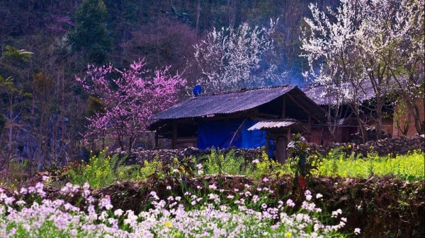 Dự báo thời tiết ngày 1/2/2025: Bắc Bộ trời nhiều mây, mưa phùn