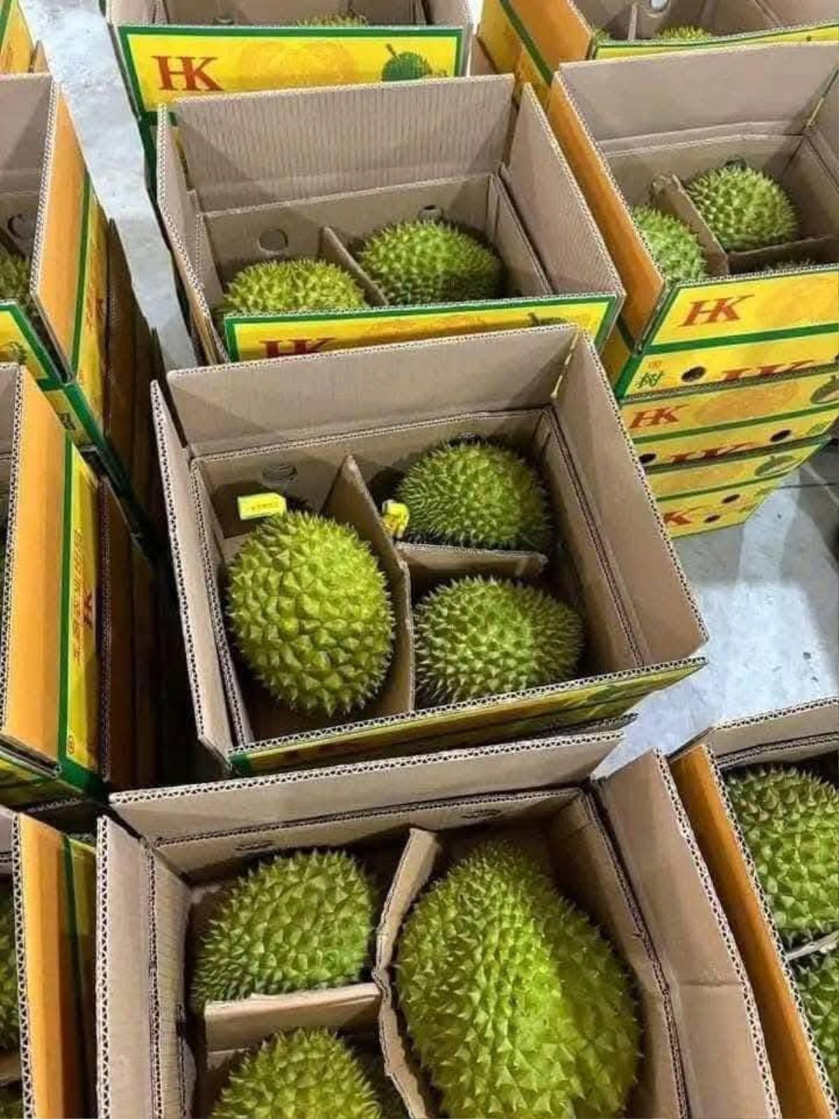 Đầu năm, sầu riêng 'giải cứu' giá rẻ giật mình chỉ 50.000 đồng/kg, thực hư thế nào? Ảnh 3