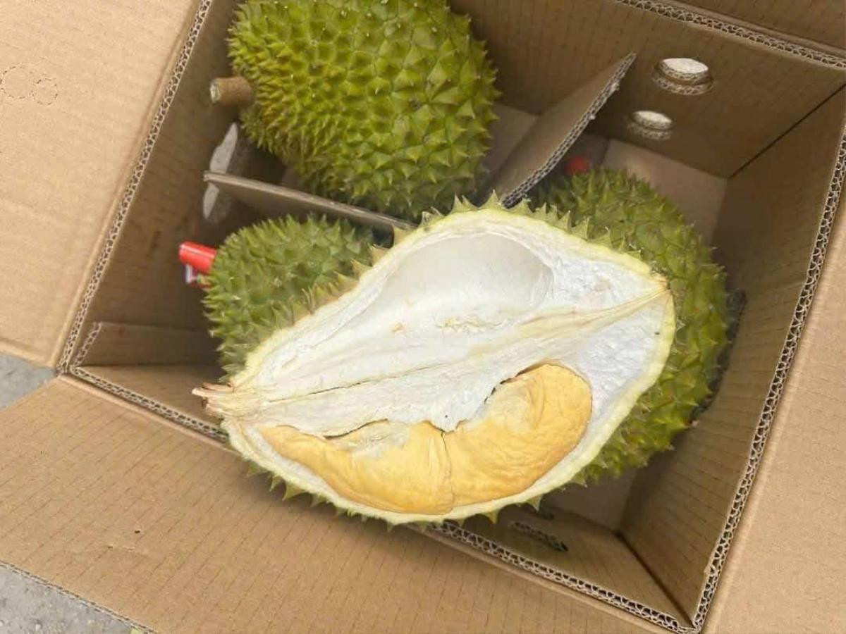 Đầu năm, sầu riêng 'giải cứu' giá rẻ giật mình chỉ 50.000 đồng/kg, thực hư thế nào? Ảnh 2