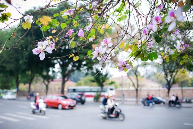 Dự báo thời tiết ngày 19/2/2025: Bắc Bộ nhiều mây, có mưa nhỏ, mưa phùn.
