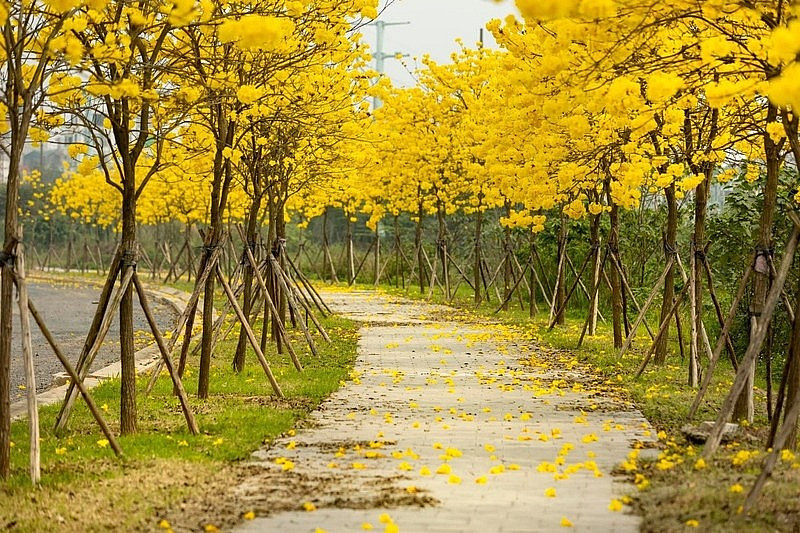Thời tiết ngày 24/2/2025: miền Bắc, Hà Nội mưa, rét đậm, nồm ẩm giảm dần