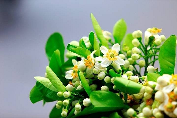 Dự báo thời tiết ngày 26/2/2025: Hà Nội và các khu vực trên cả nước