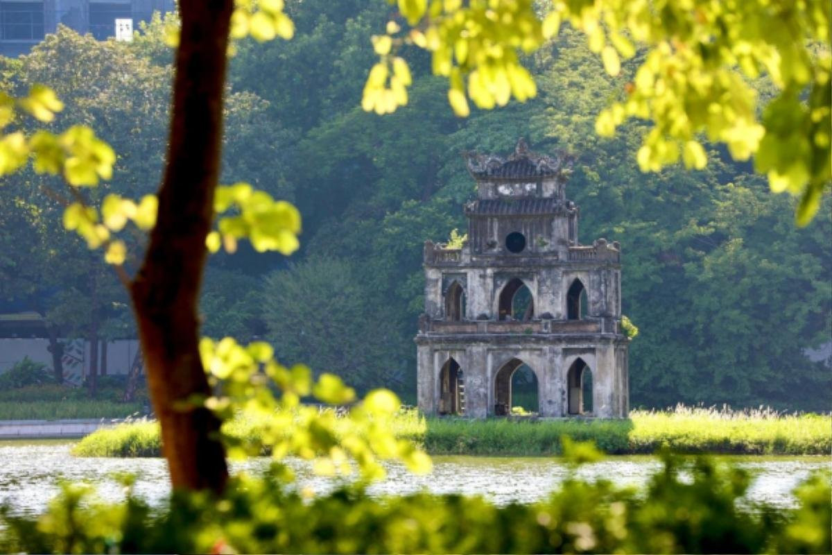 Ảnh minh họa