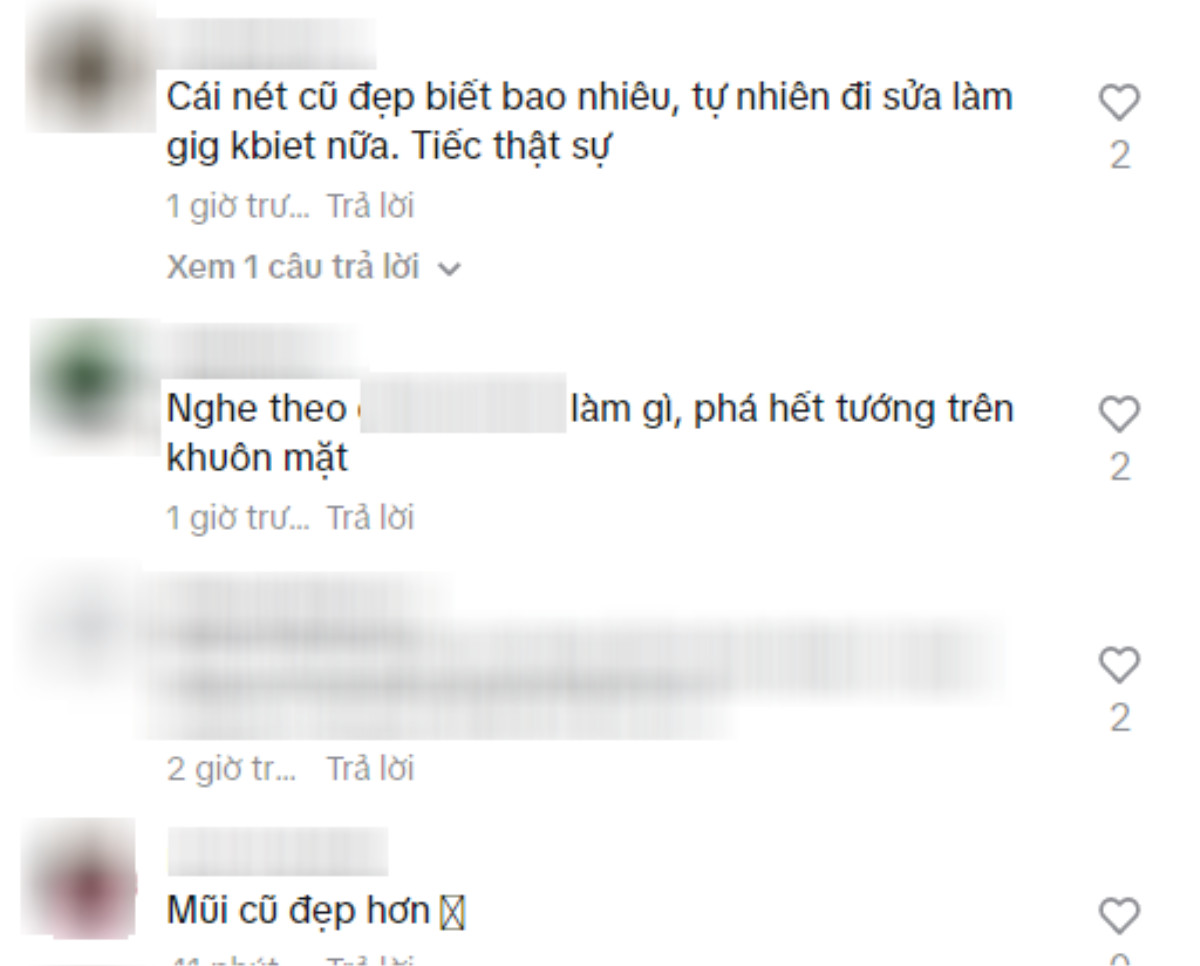 Cái giá cho Hoa hậu Ý Nhi Ảnh 2