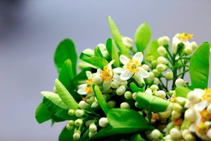 Thời tiết ngày 28/2/2025: Bắc Bộ mưa phùn, hửng nắng, nền nhiệt tăng nhẹ