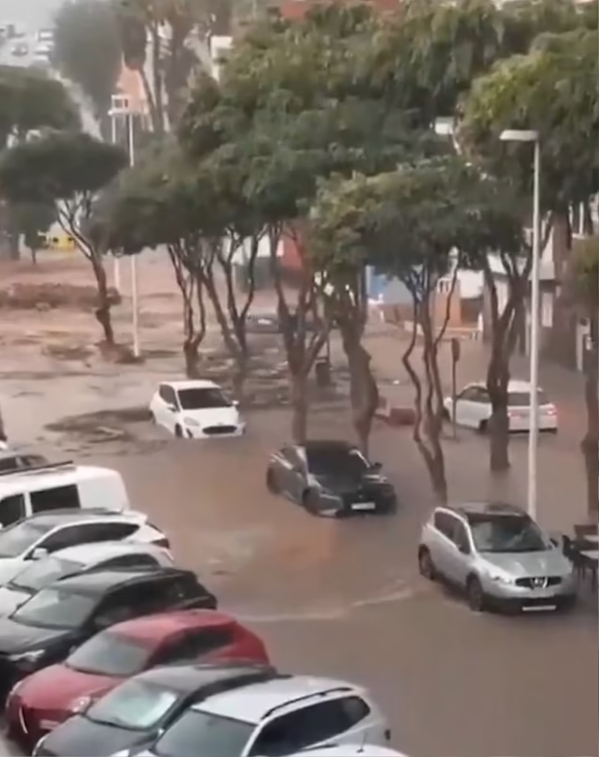 Những chiếc ô tô đã bị cuốn trôi ra biển sau khi lũ lụt lớn tấn công hòn đảo Tây Ban Nha.