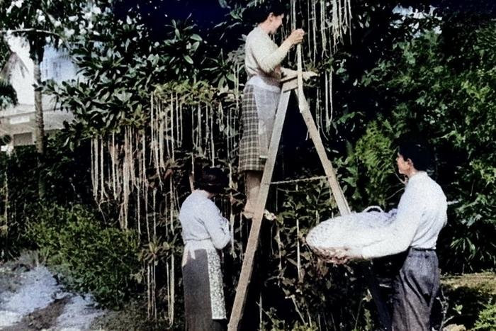 Những cú lừa lịch sử trong ngày Cá tháng tư Ảnh 4