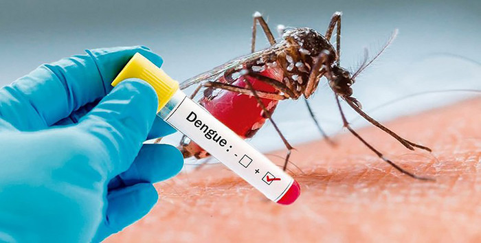 Nắng nóng là thời điểm thuận lợi cho sự phát triển của virus, đặc biệt là virus gây tay chân miệng và sốt xuất huyết. (Ảnh minh hoạ)