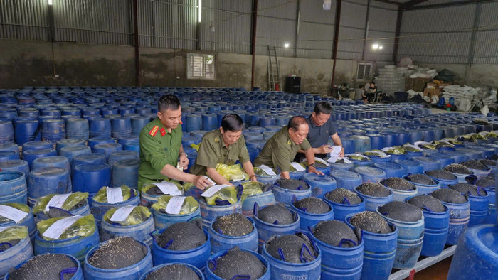 Lực lượng chức năng kiểm tra khu vực sản xuất giá đỗ có ngâm 'nước kẹo'. Ảnh: CAND