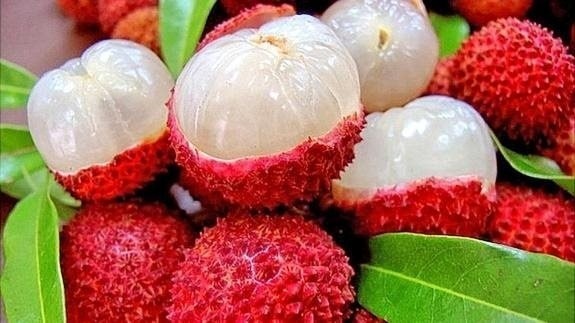 loi-ich-va-tac-hai-cua-qua-vai-va-cach-su-dung-dung-1750954529.jpg