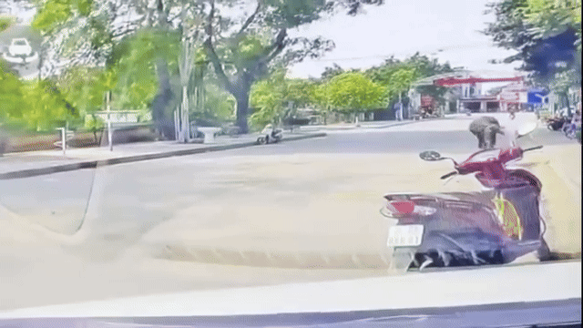 camera-nha-dan-ghi-lai-canh-trau-dien-huc-nguoi-phu-nu-di-xe-may-1752590676.gif