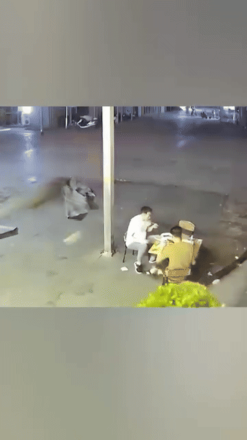 anh-cuon-bay-ban-nhau-1752667182.gif