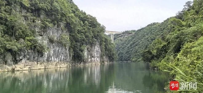 vung-nuoc-nguoi-dan-ong-lan-de-bat-ca-1753605628.webp