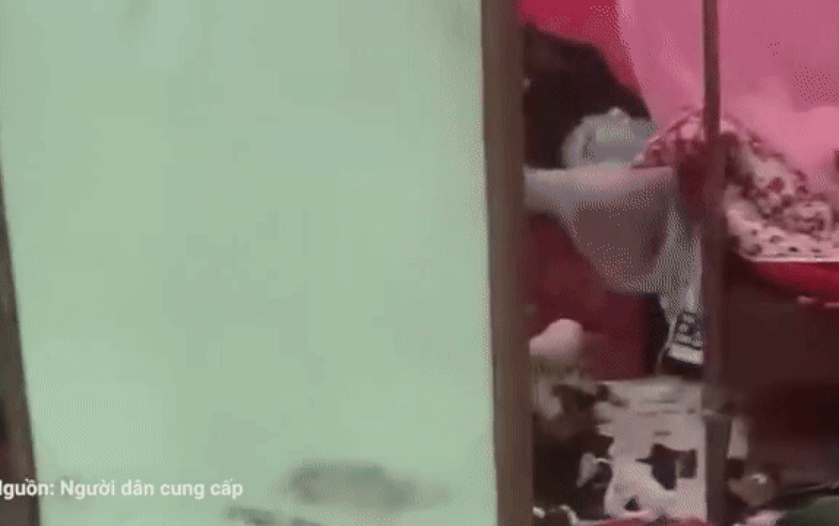 anh-gif-ga-dan-ong-nam-ngu-tren-giuong-1753681503.gif