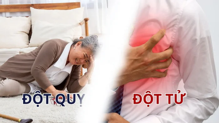 phan-biet-dot-quy-va-dot-tu-1754105921.jpg