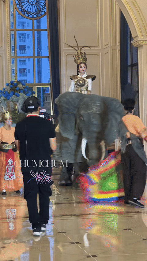 anh-gif-thi-sinh-cuoi-voi-bang-mo-hinh-den-tham-gia-vong-so-khao-1754975177.gif