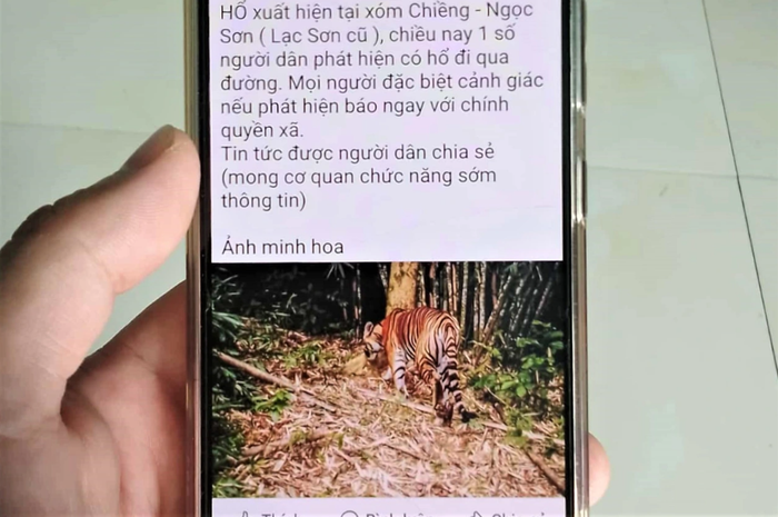 ro-tin-ho-xuat-hien-o-phu-tho-1759460604.jpg