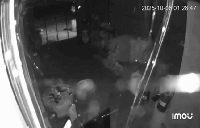 anh-cat-tu-clip-dong-dat-o-quang-ngai-1759803996.gif