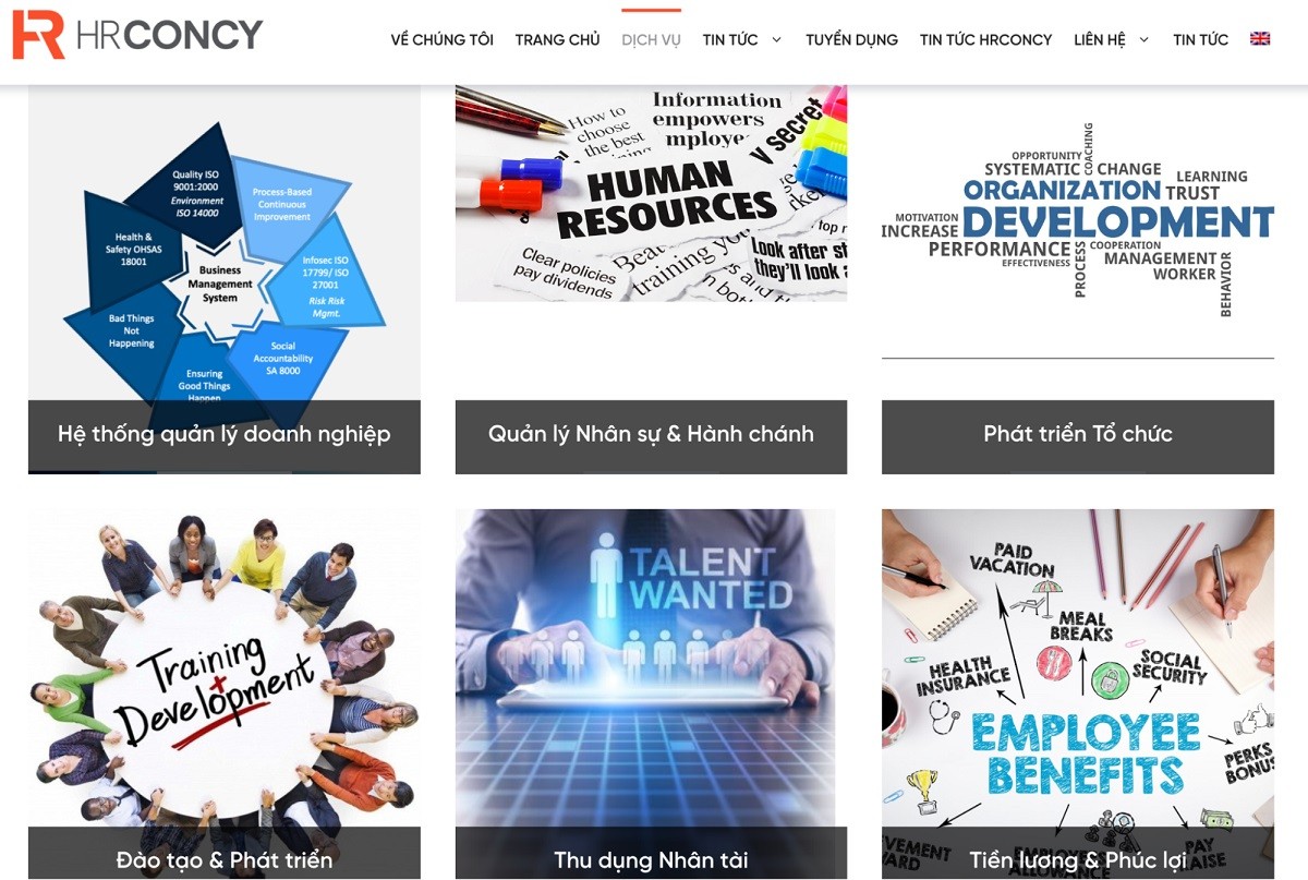 linh-vuc-hoat-dong-hrconcy-1761738938.jpg