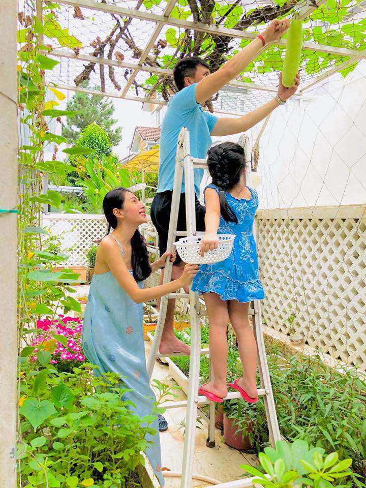 Hình ảnh vợ chồng nữ ca sĩ và con gái cùng nhau ra vườn thu hoạch rau khiến bao người ngưỡng mộ.