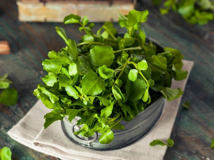 Loại rau Việt Nam được đánh giá tốt nhất thế giới về chống bệnh K, chợ bán chỉ 10 nghìn đồng/bó Ảnh 3