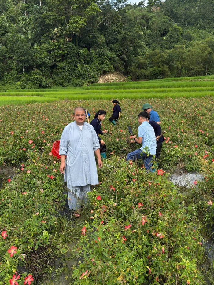 Hành trình livestream bán nông sản giúp bà con nông dân của sư thầy Thích Khai Quảng Ảnh 3