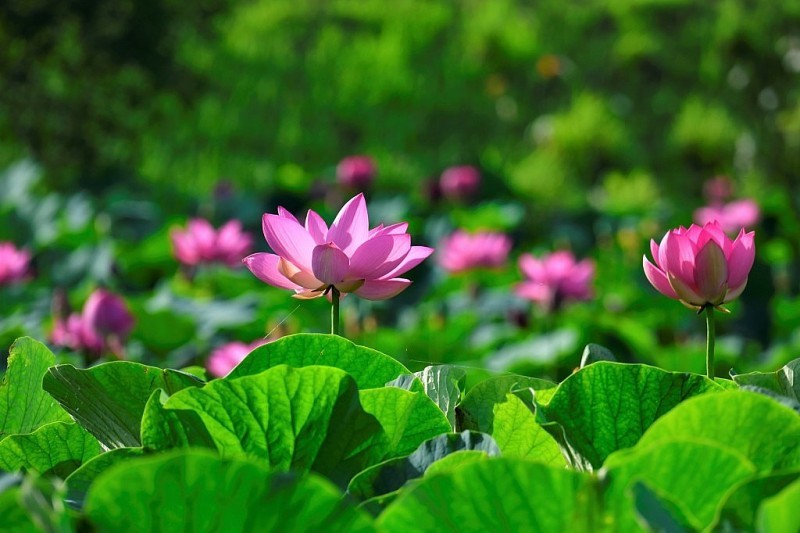 du-bao-thoi-tiet-ngay-23-5-2025-1747970982.jpg