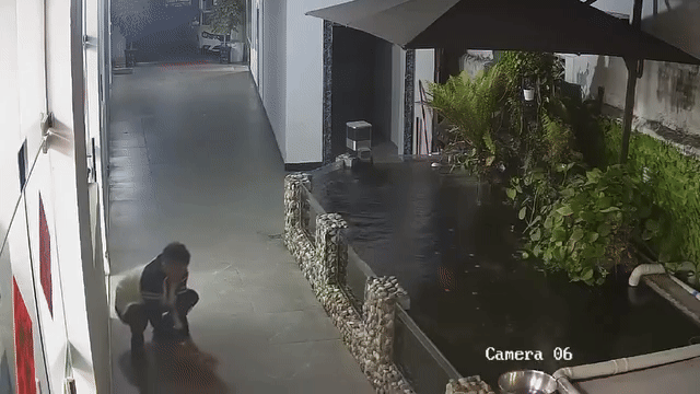 video-con-ca-koi-nhay-vot-ra-khoi-ho-thanh-nien-vung-ve-bat-ca-tro-lai-1750656520.gif