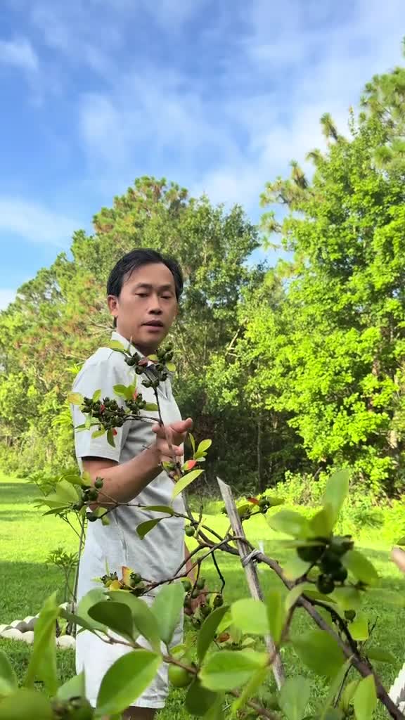 clip-can-canh-vuon-nha-hoai-linh-1751962601.mp4