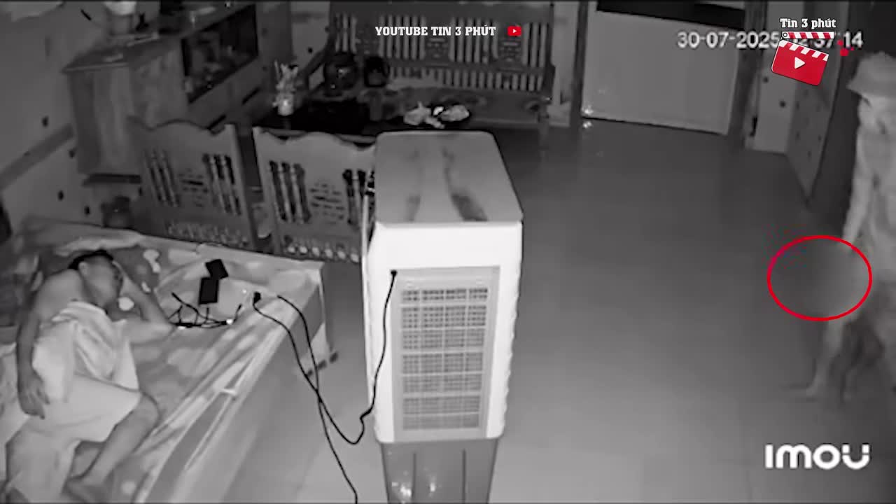 clip-check-camera-thay-nguoi-la-dot-nhap-vao-nha-1754367975.mp4