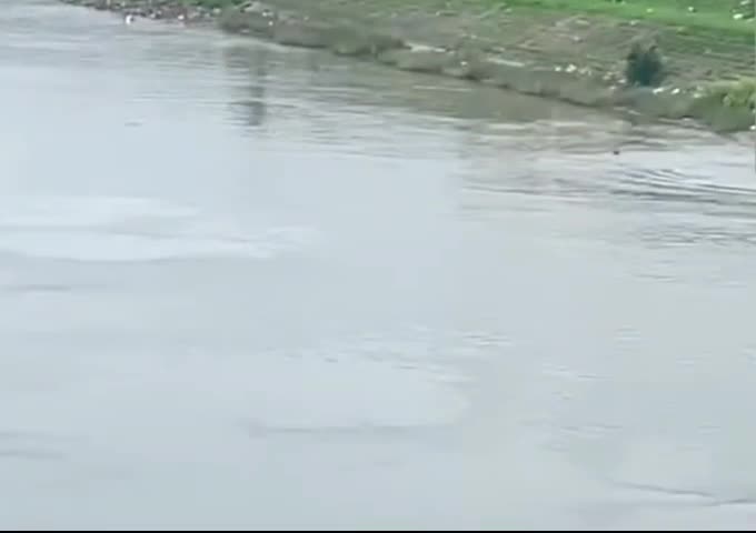 clip-co-giao-the-duc-o-nam-dinh-dung-cam-lao-xuong-song-cuu-nu-sinh-lop-12-1748340236.mp4