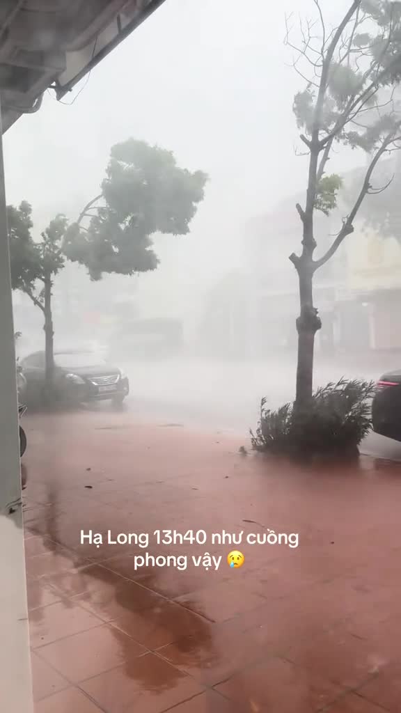 clip-giong-loc-o-ha-long-1752983517.mp4
