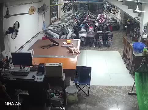 clip-tre-em-choi-mot-minh-tren-phan-cao-1755516542.mp4