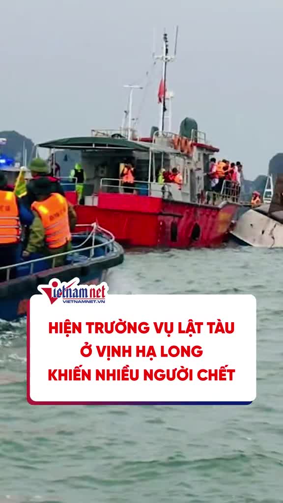 hien-truong-vu-lat-tau-o-vinh-ha-long-1753025703.mp4