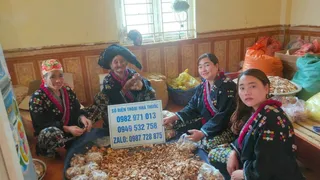 Nhà thuốc Mế Mụi chữa vô sinh có tốt như lời đồn?