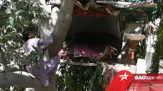 Chàng trai 'Tarzan' dựng tổ trên cây sống như chim suốt 8 năm