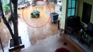 Clip: Cụ ông lái xe đồ chơi làm đổ chậu hoa và màn "trách yêu" từ cụ bà