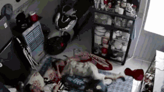 Clip: Đôi vợ chồng nằm ngủ trưa, camera ghi lại cảnh đáng sợ