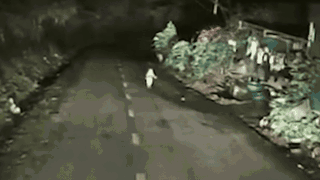 Clip: Tài xế lái xe ban đêm, camera hành trình ghi lại cảnh run sợ