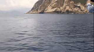 Clip: Gần trăm con cá heo bơi tung tăng tại vùng biển gần Hòn Dung - Vịnh Nha Trang